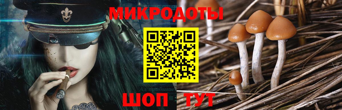 Галлюциногенные грибы Psilocybine cubensis  Вход с VPN  Новокубанск 