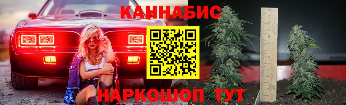 МАРИХУАНА ГИДРОПОН  Шишки марихуана планчик  Новокубанск  Шишки марихуана Bruce Banner  Вход с VPN 